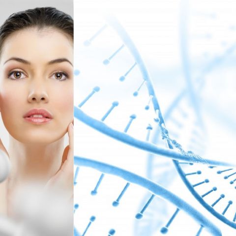 REGENEVIA DNA